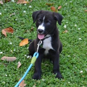 Meet your Posher, Sheana